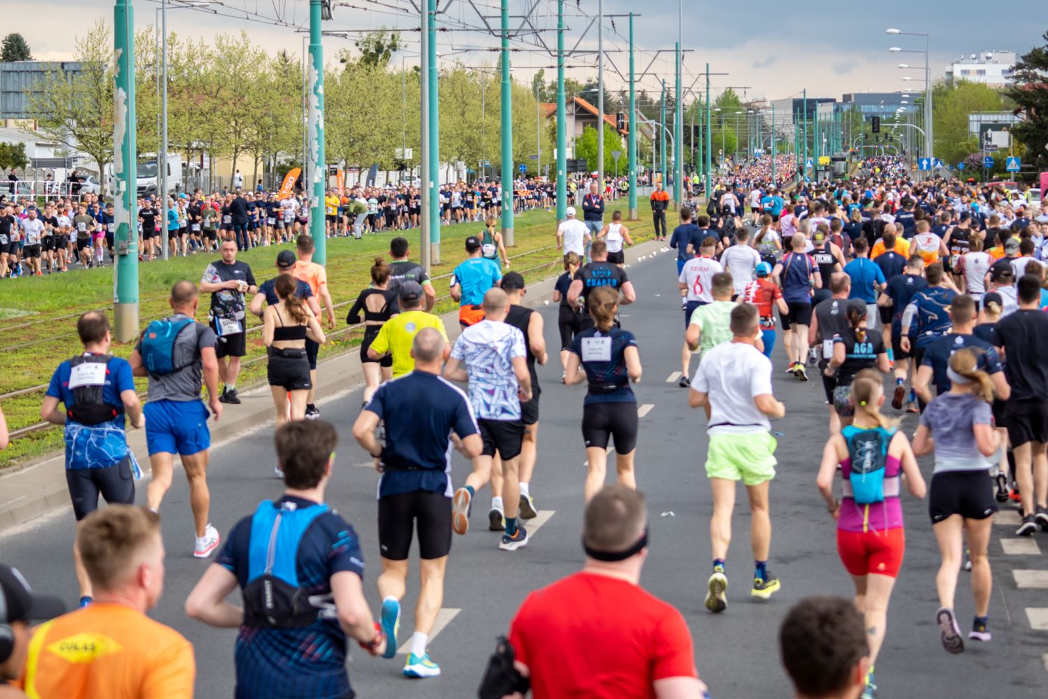 Tłum biegaczy na trasie półmaratonu