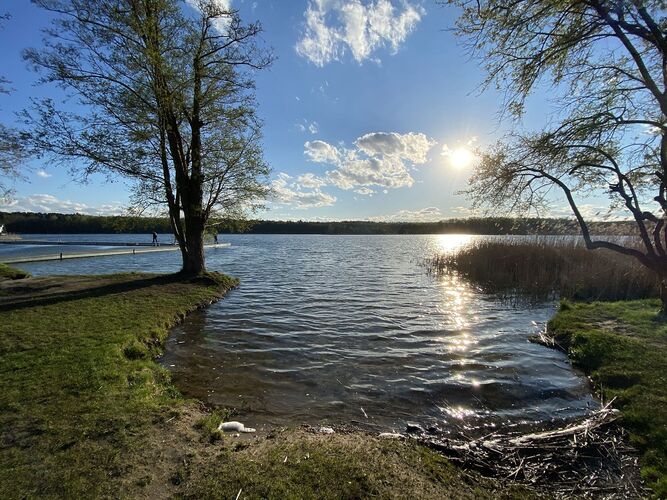 Brzeg jeziora Strzeszyńskiego w promieniach słońca