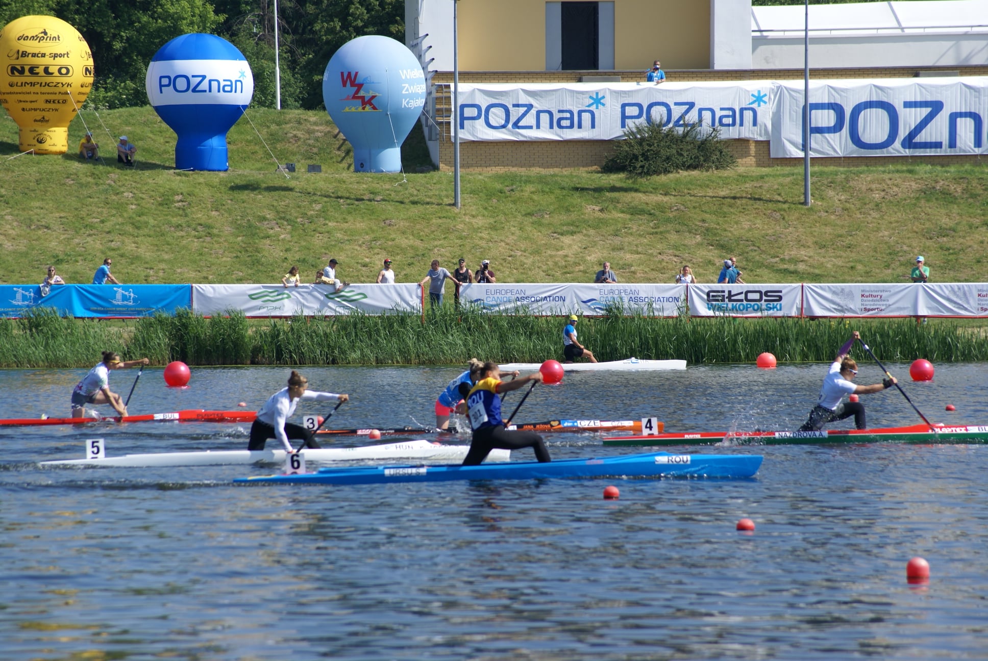 Wyścigi na Jeziorze Maltańskim