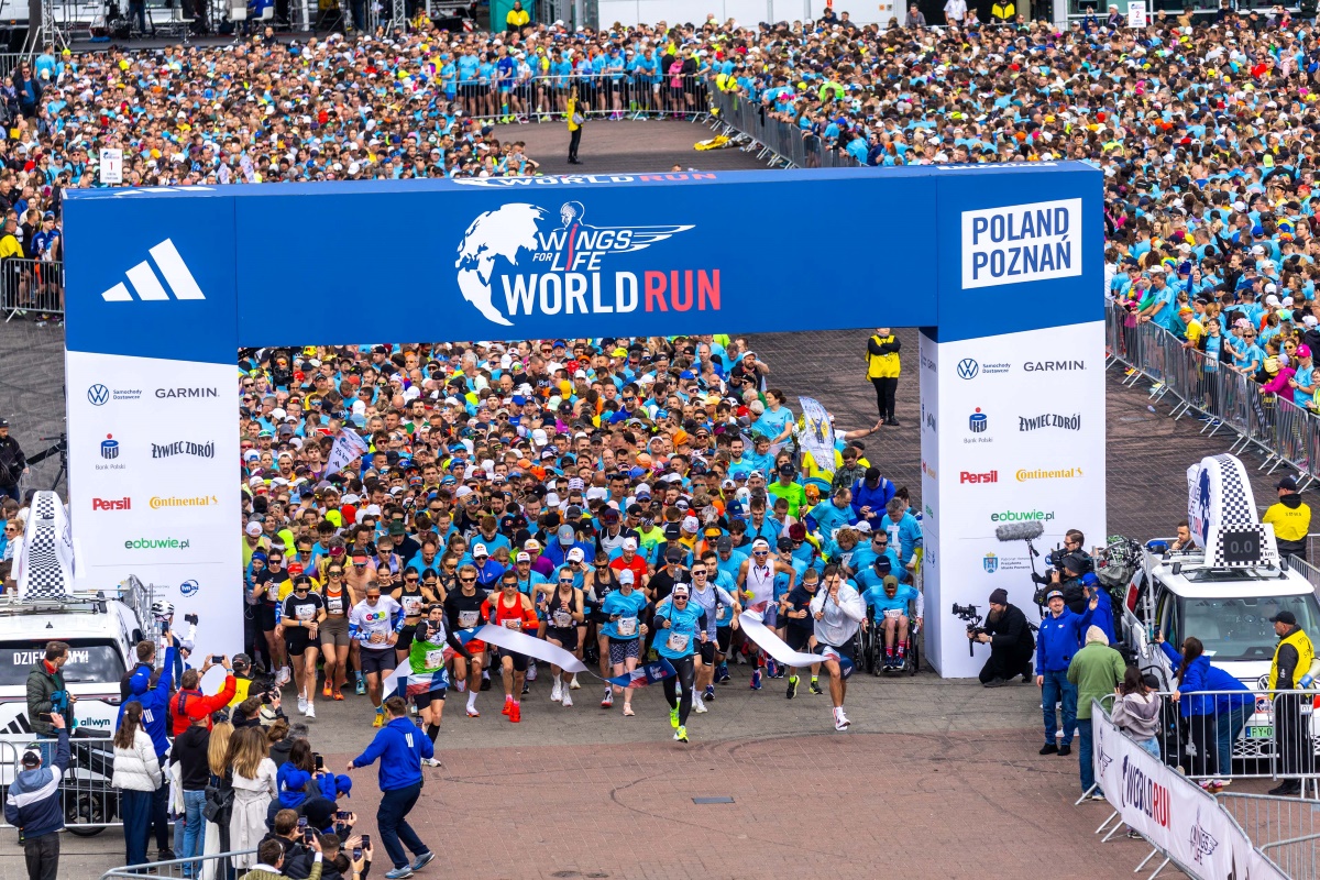 start-biegu-wings-4-life