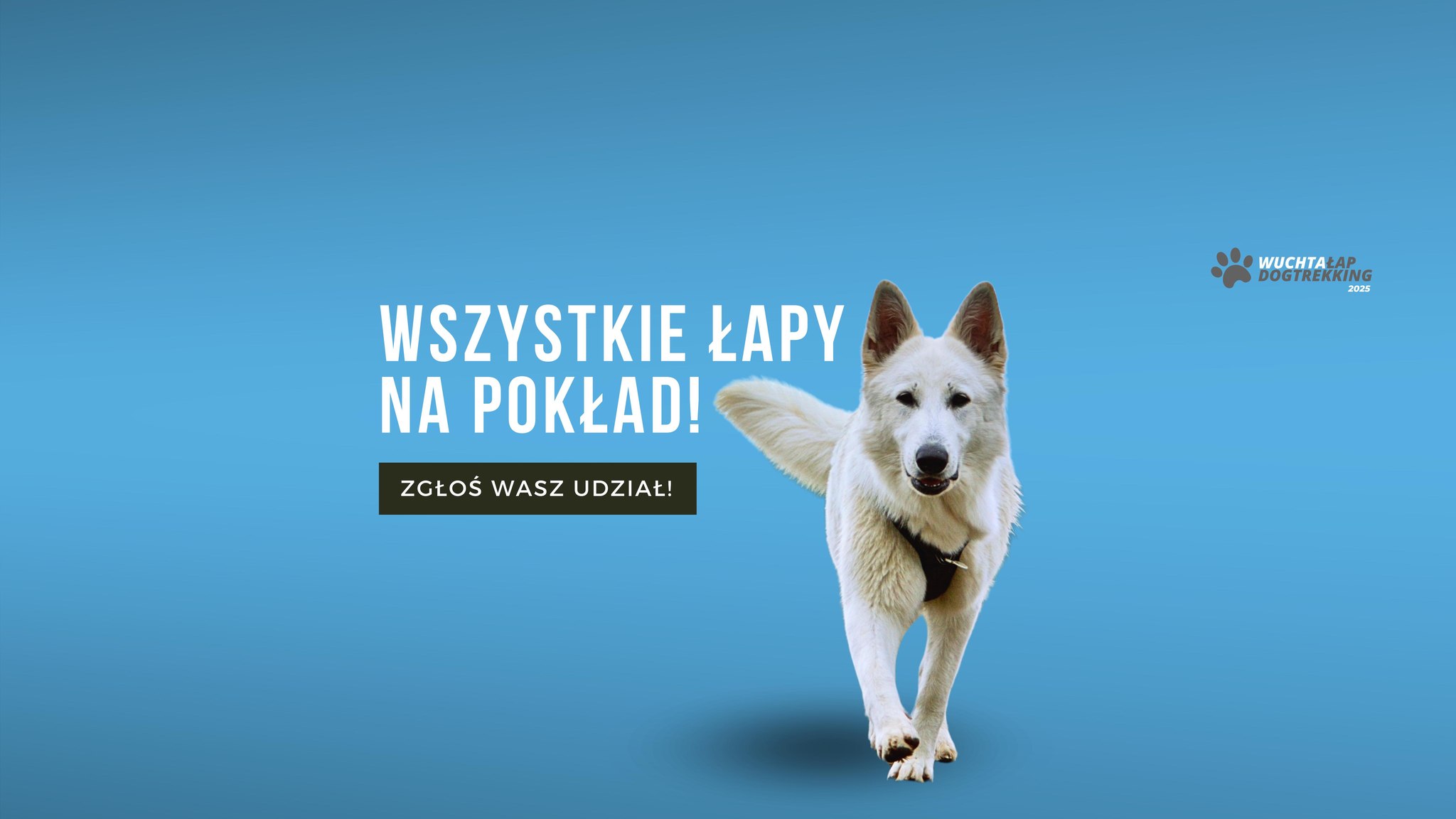 zdjęcie przedstawia biegnącego psa na niebieskim tle oraz nazwę wydarzenia