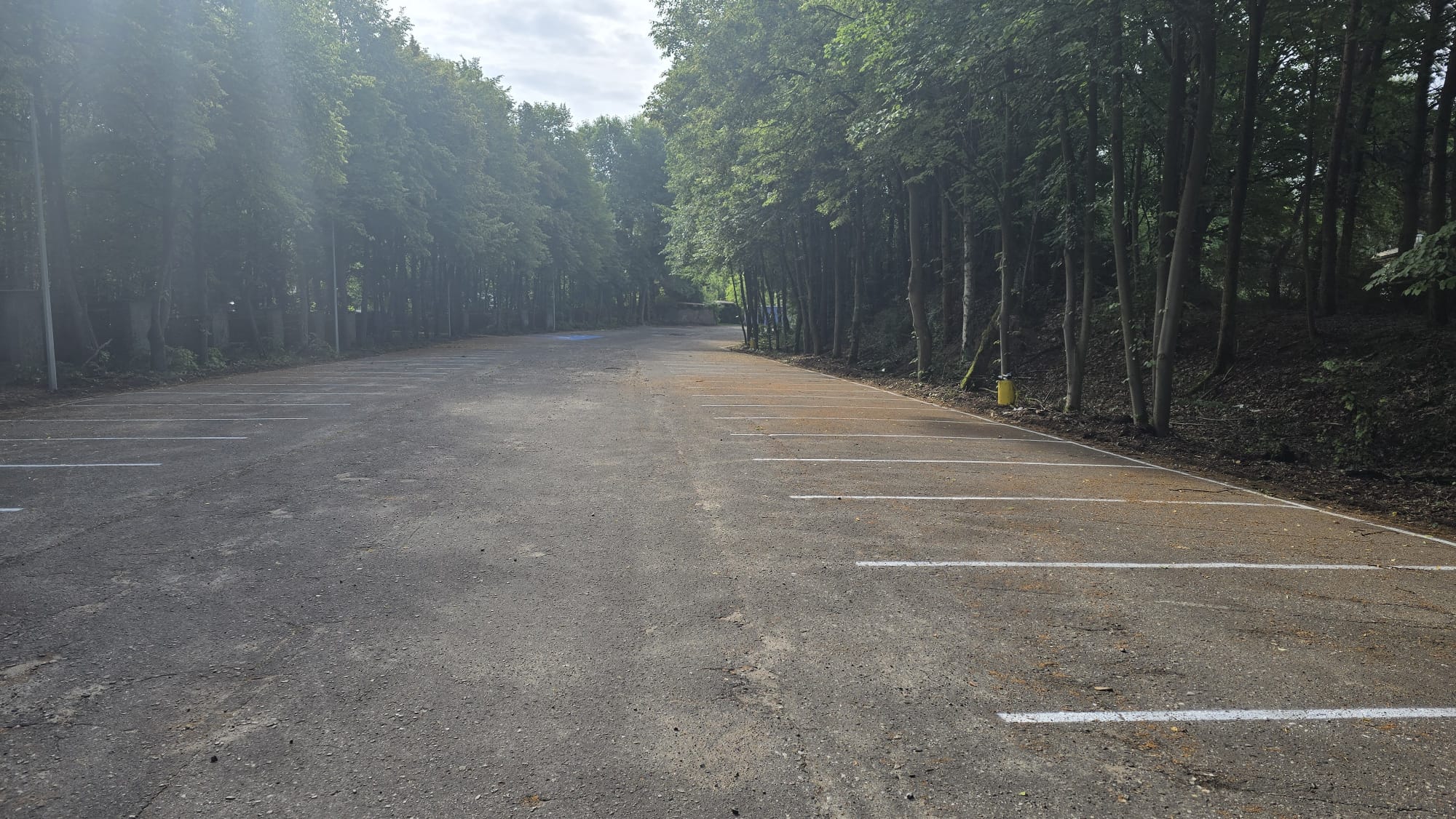 Parking_w_otoczeniu_drzew