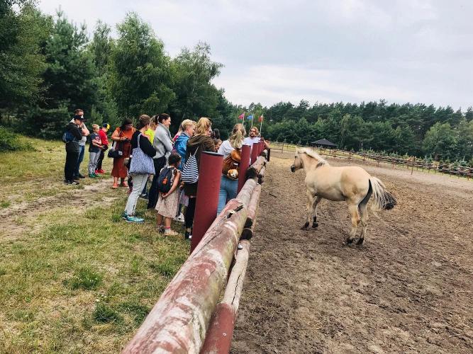 uczestnicy wycieczki oglądają konie